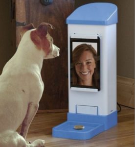 Raspberry Pi Dog Treat Pi