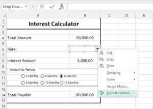 ComboBox from Excel Form Control
