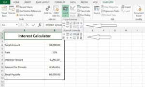 Group Box and option button excel form controls