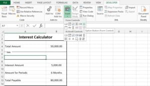 Group Box and option button excel form controls